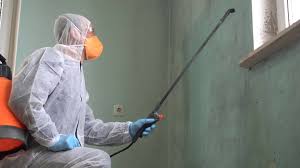 Fussels Corner, FL Mold Removal & Remediation Company